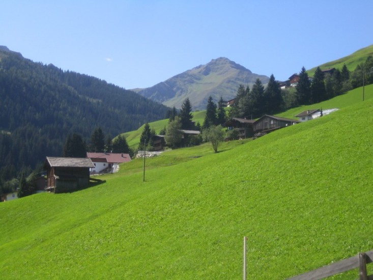 Almen im Tuxertal.jpg